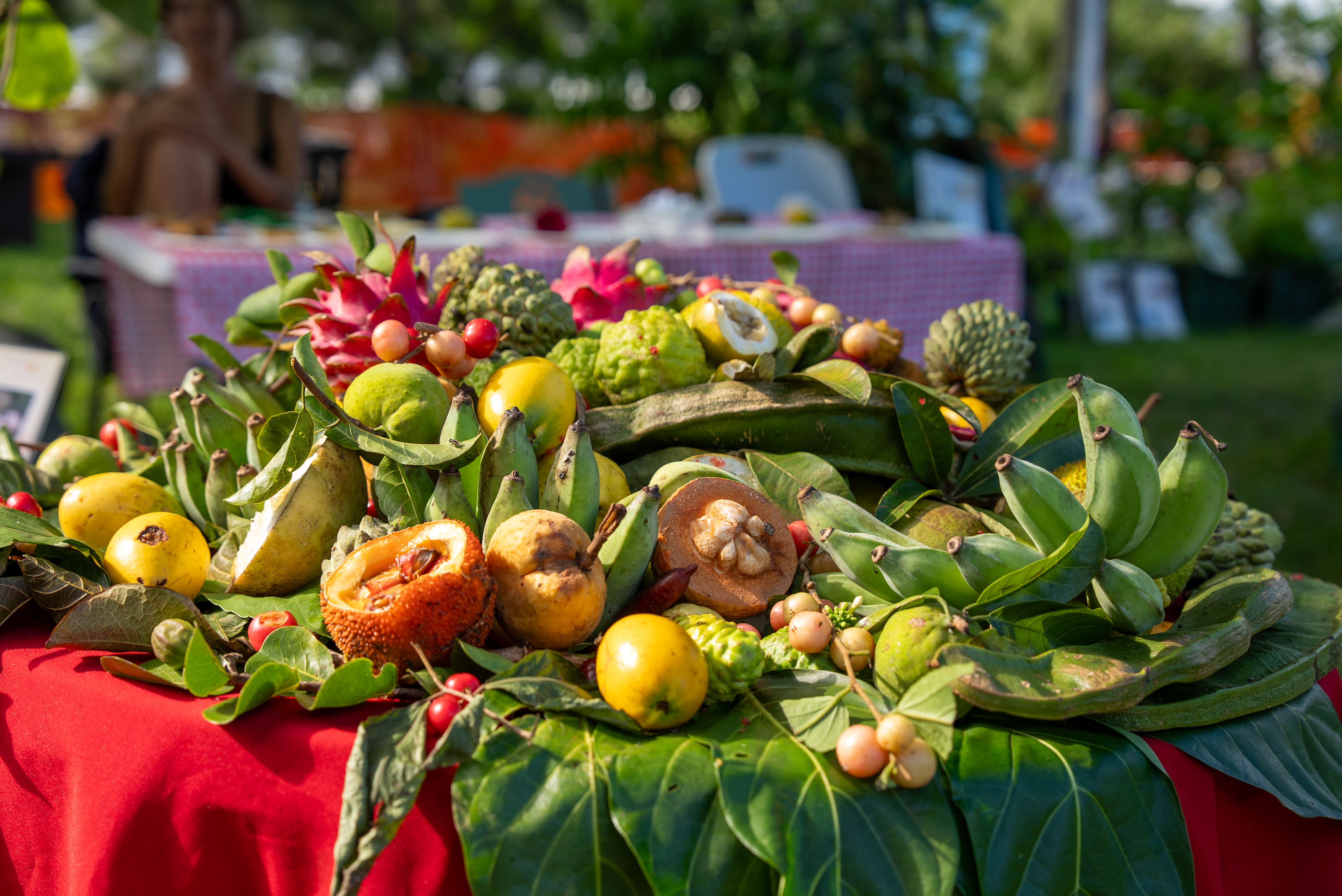 Fête de la Ville - Dimanche-156.jpg