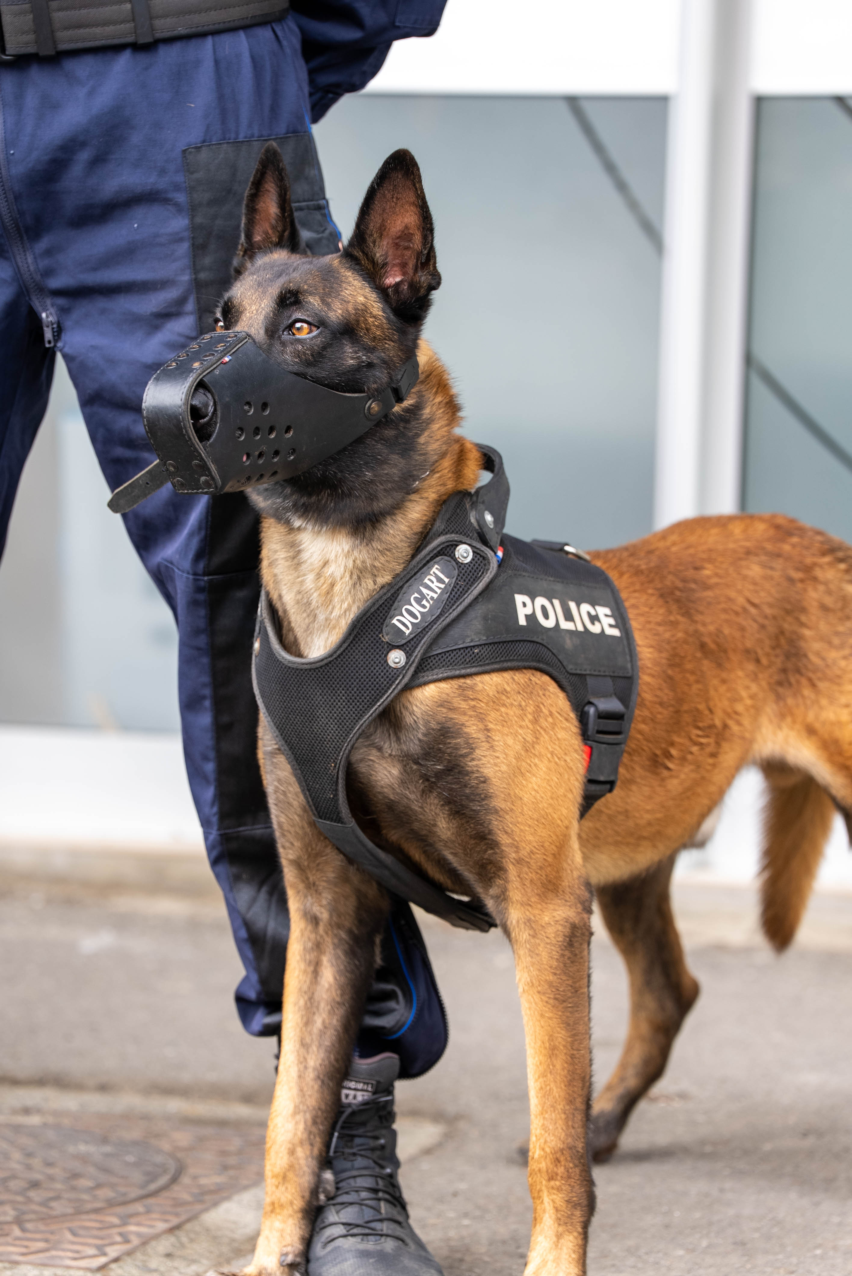 Hôtel de Police-09.jpg