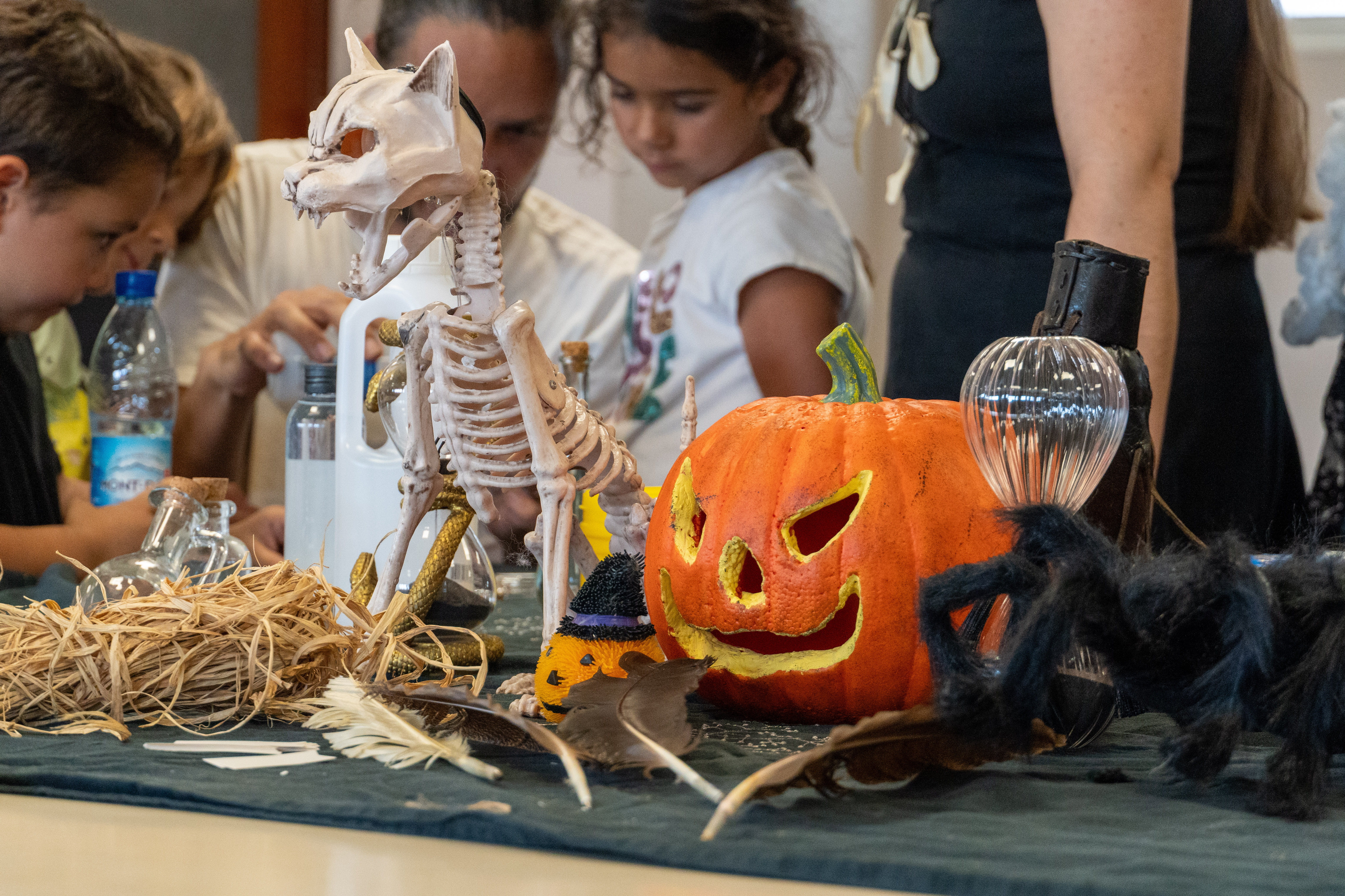 MDD - Halloween-02.jpg