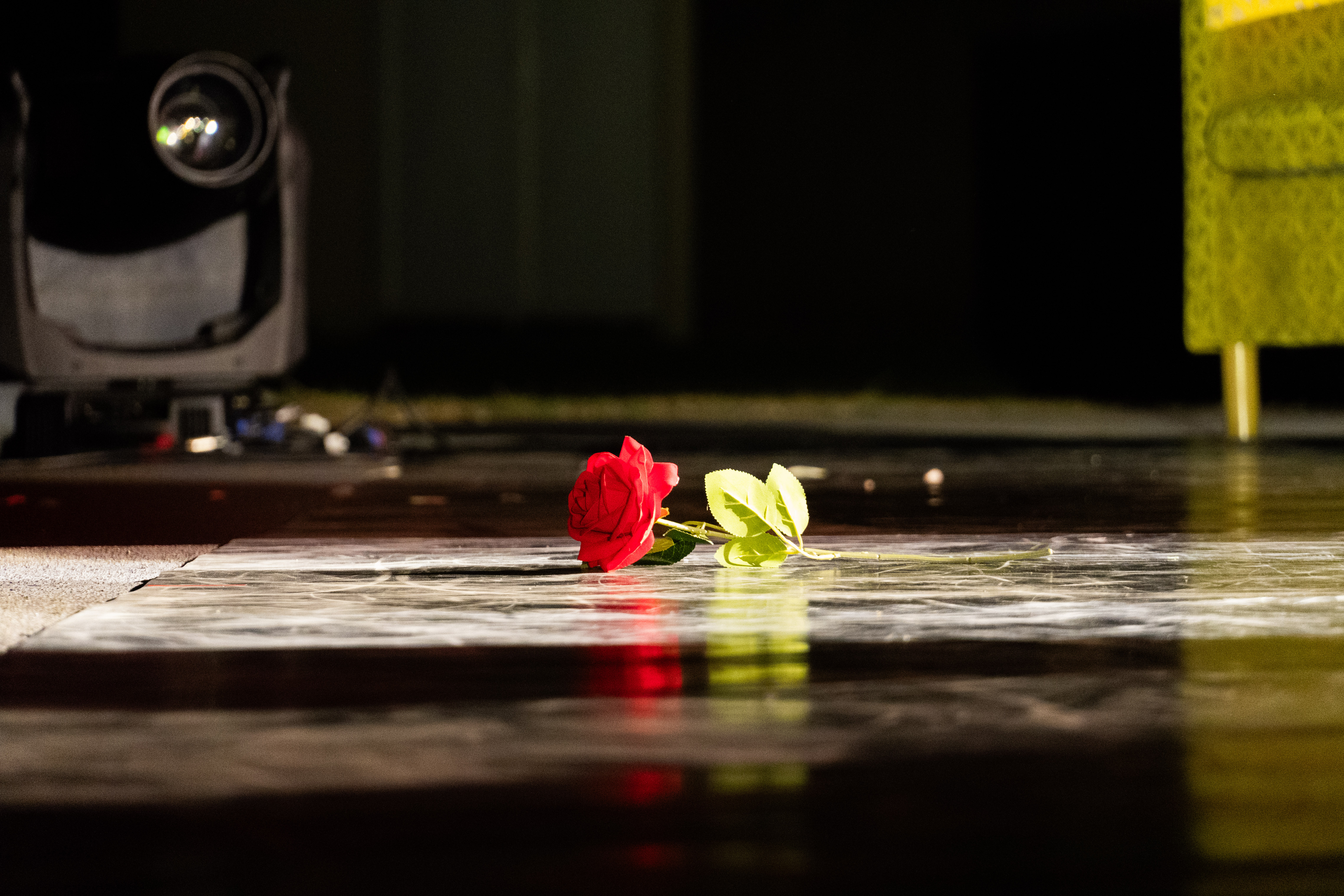 MDD - Spectacle Flower-41.jpg