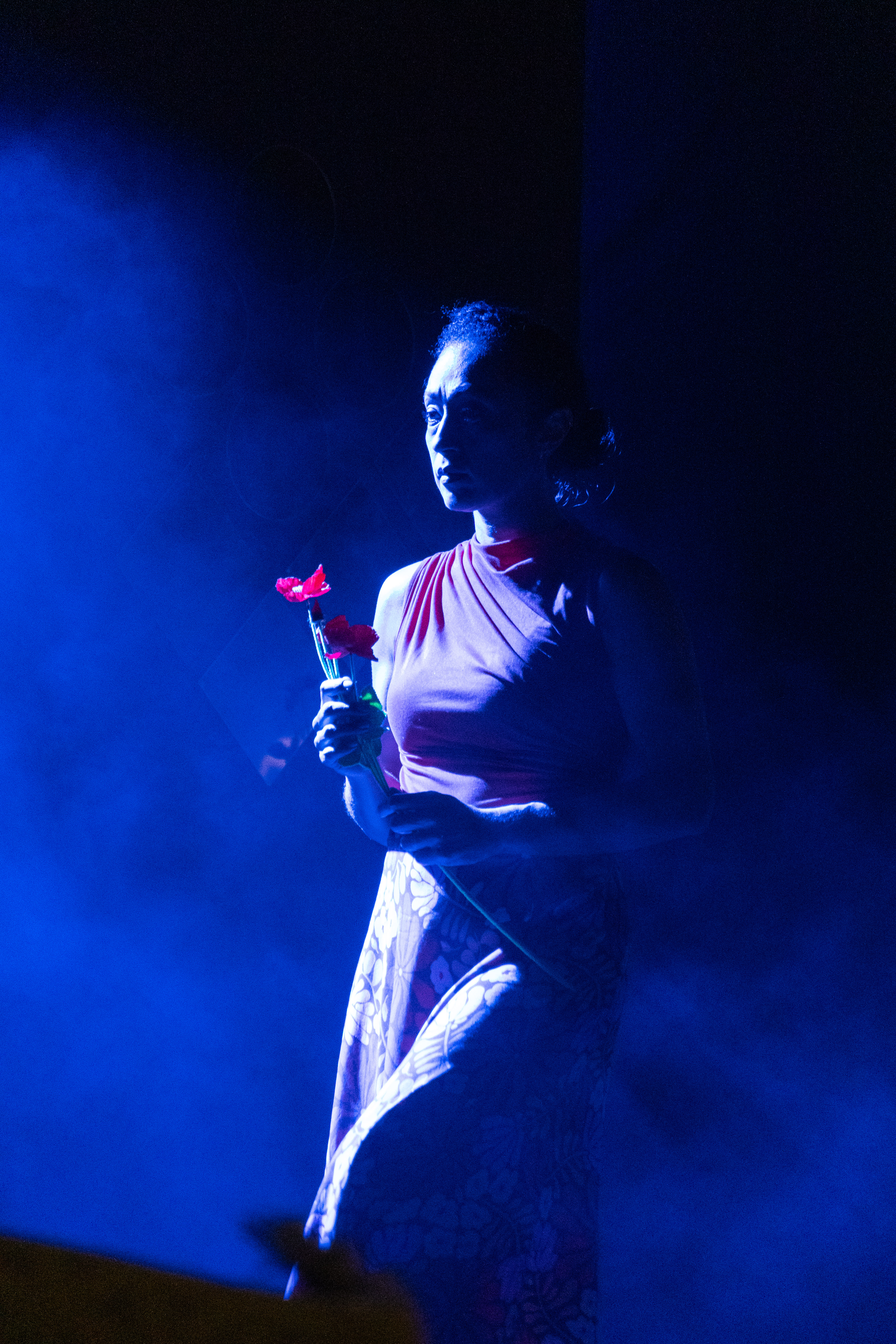 MDD - Spectacle Flower-50.jpg