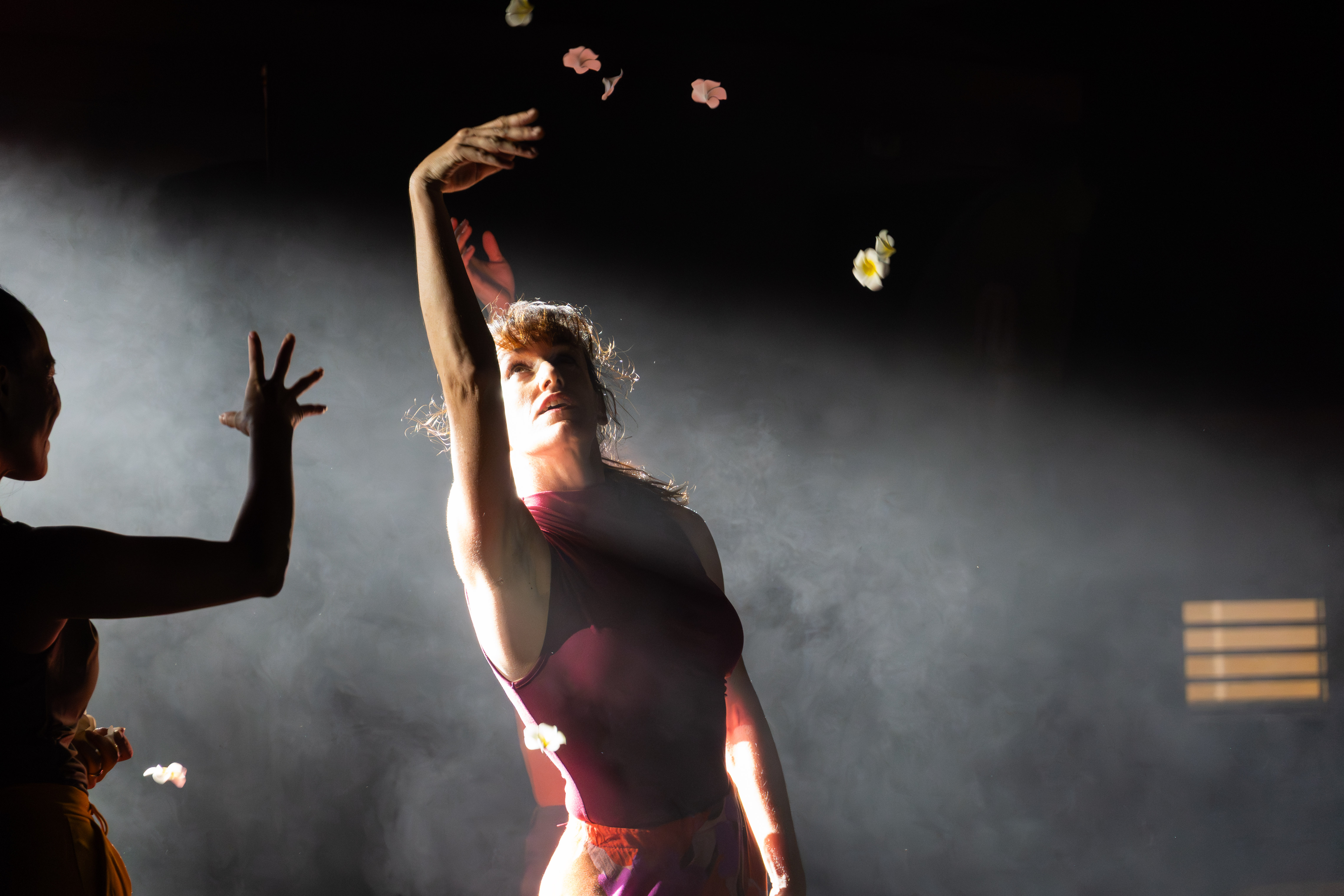 MDD - Spectacle Flower-54.jpg