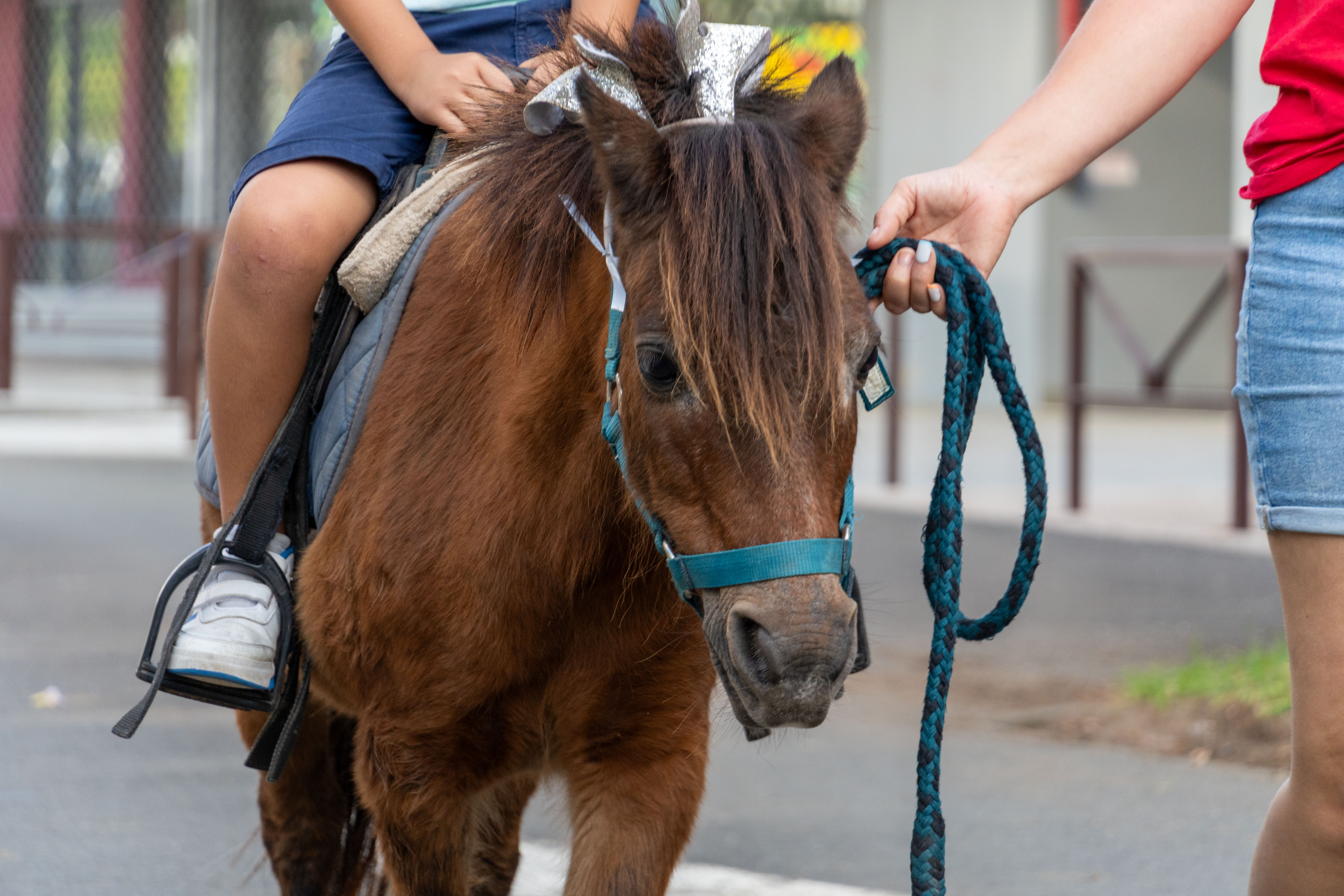 MDD - Marché Noël-75.jpg