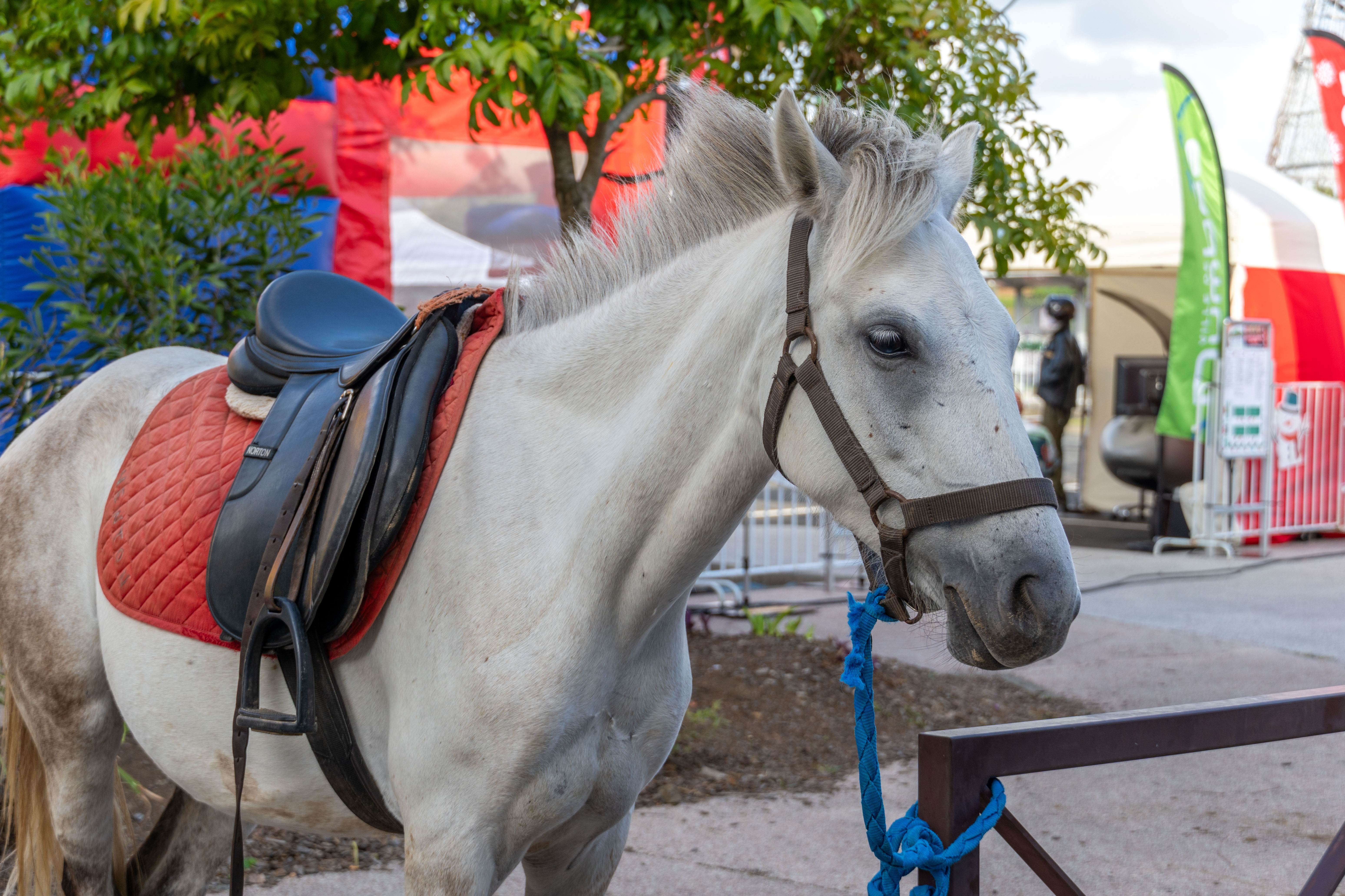 MDD - Marché Noël-76.jpg
