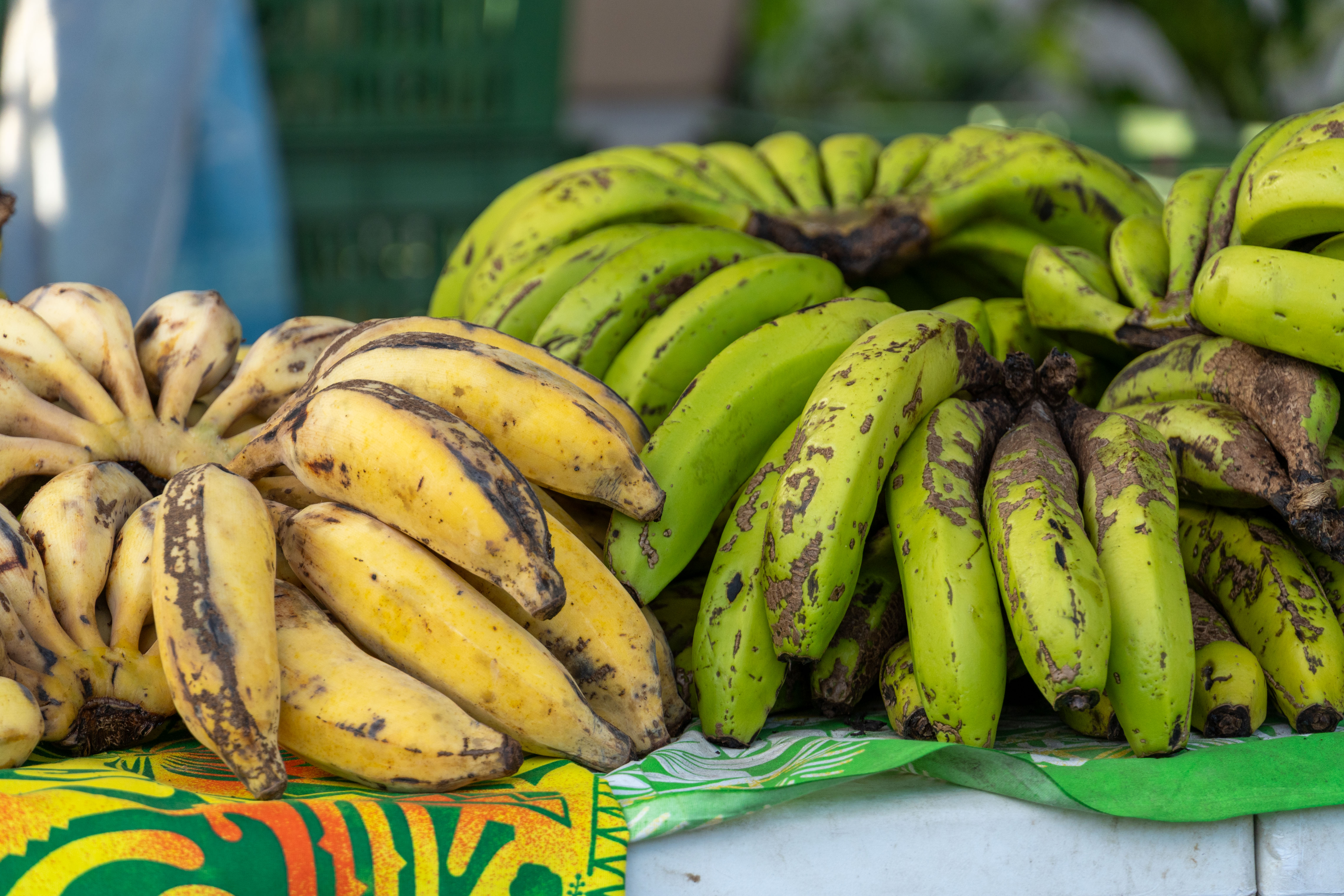 MDD - Marché Noël-82.jpg