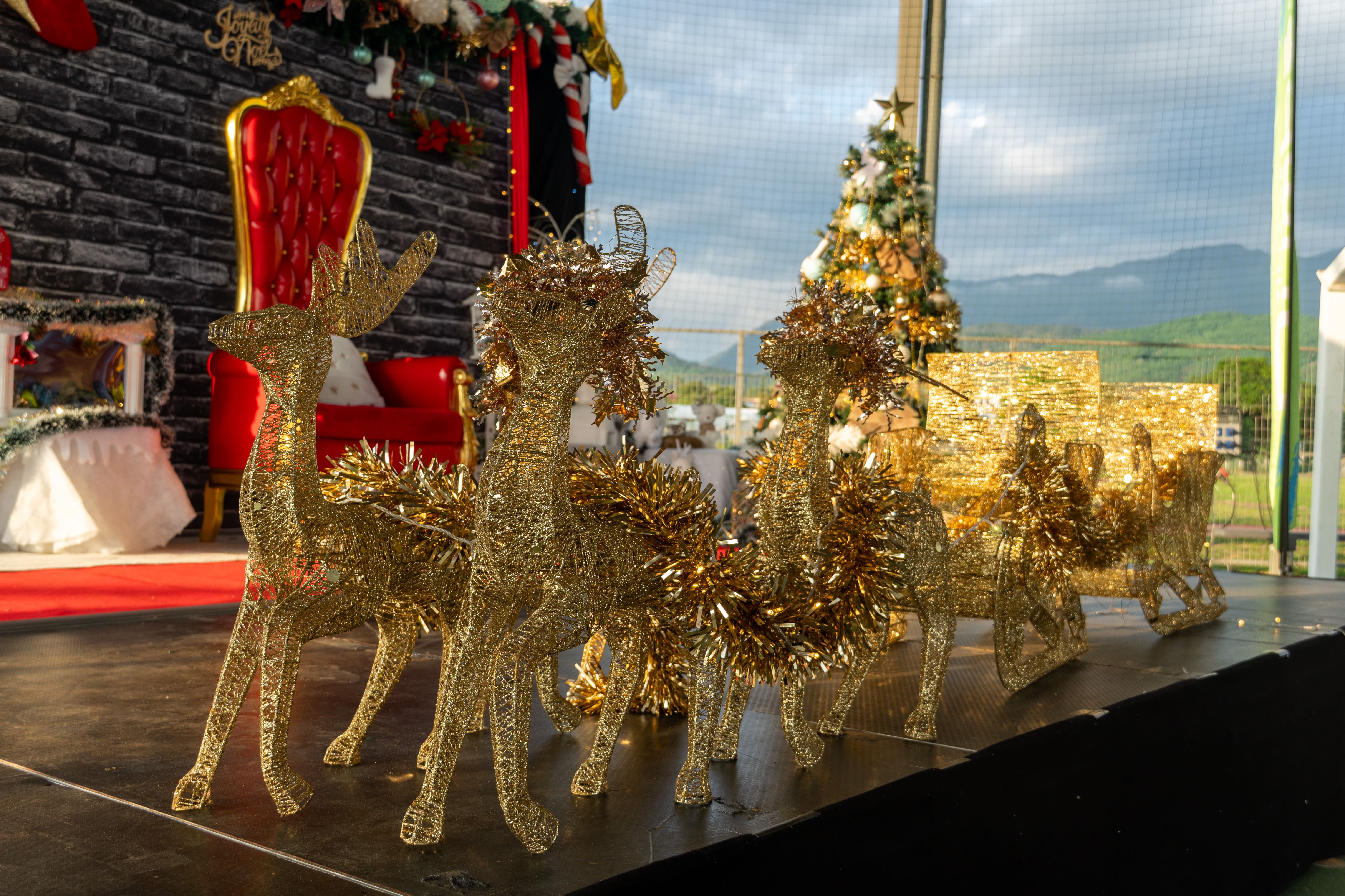 MDD - Réveillon de Noël-23.jpg