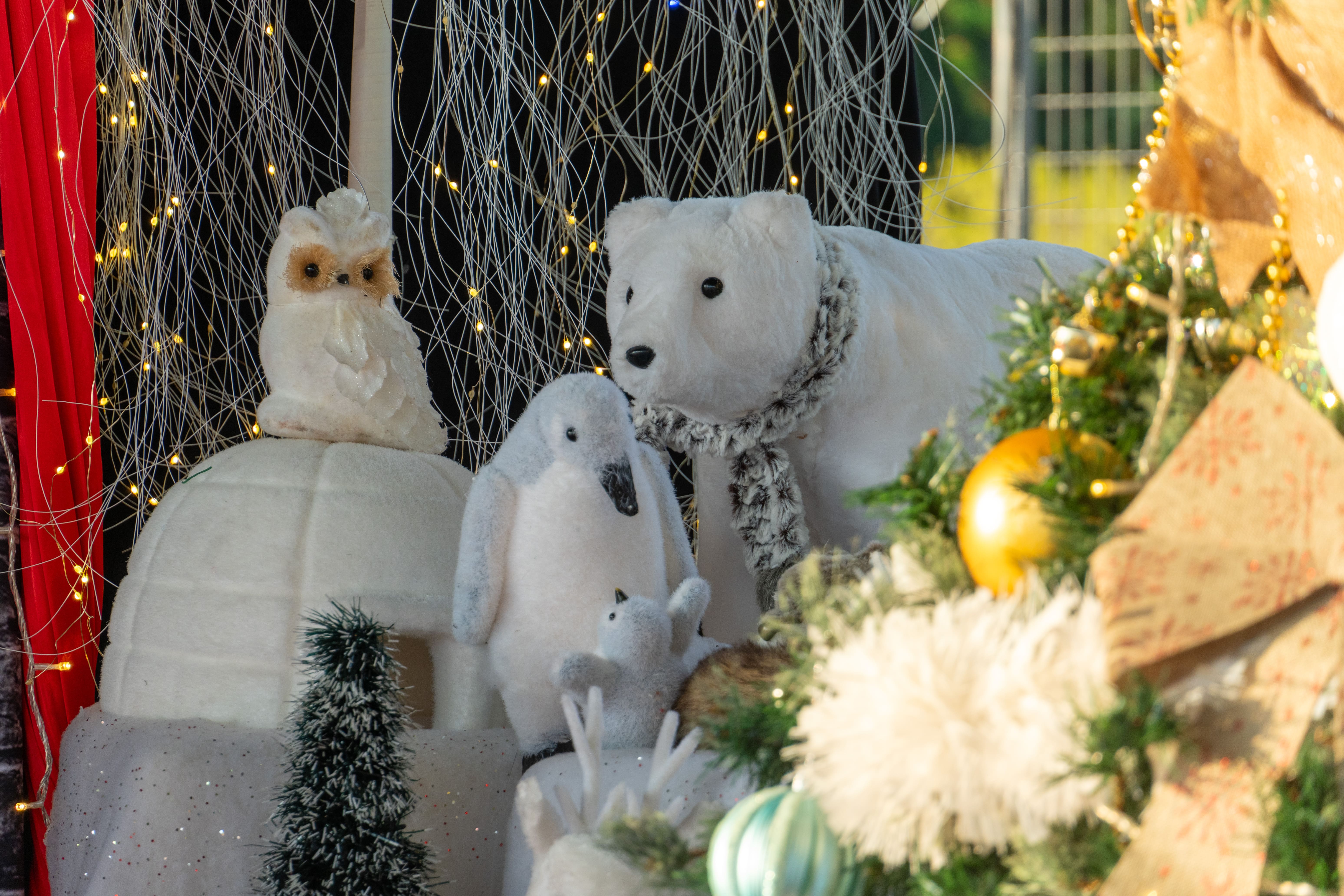 MDD - Réveillon de Noël-29.jpg