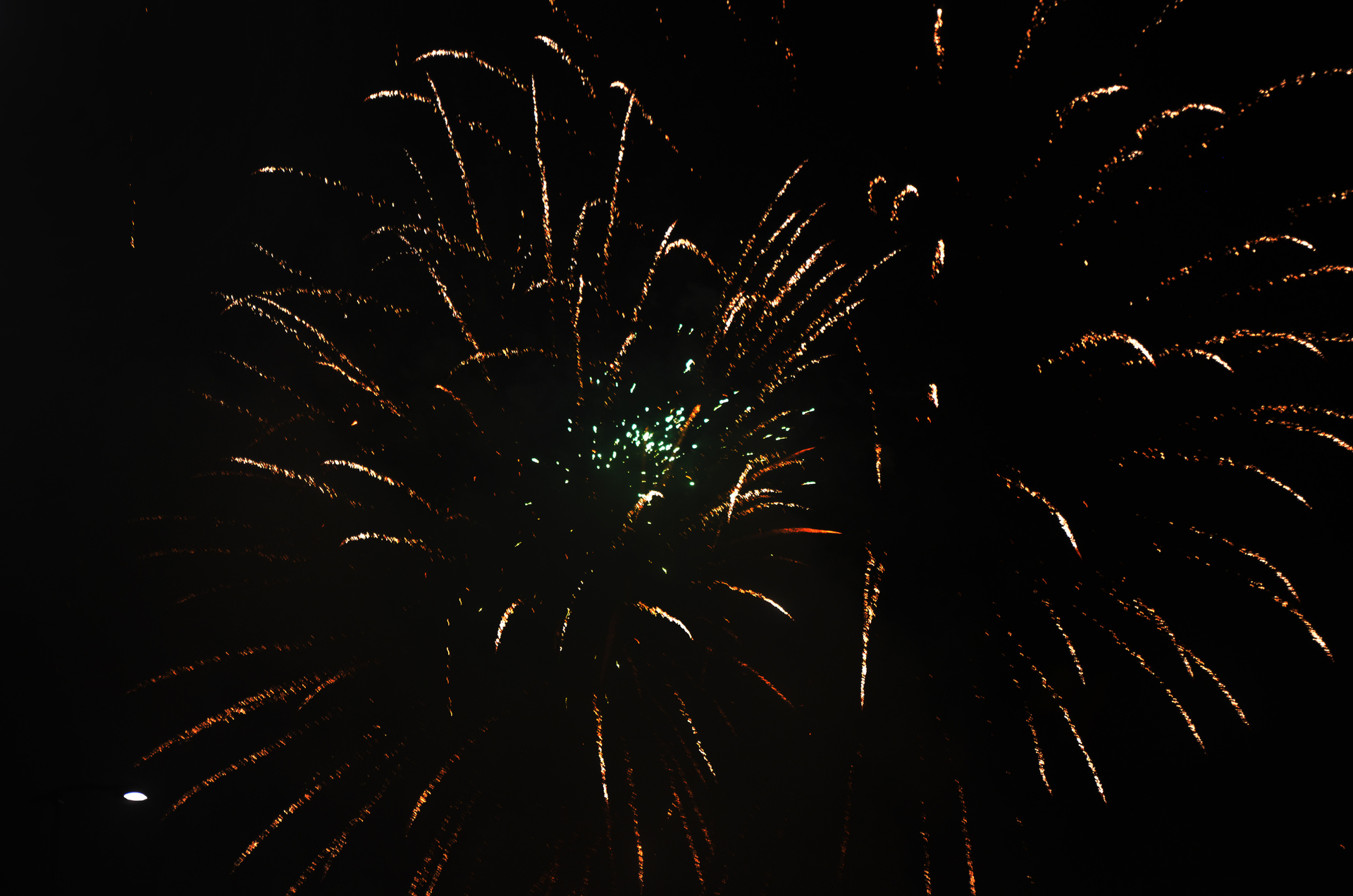 1640589365-dsc0469.jpg