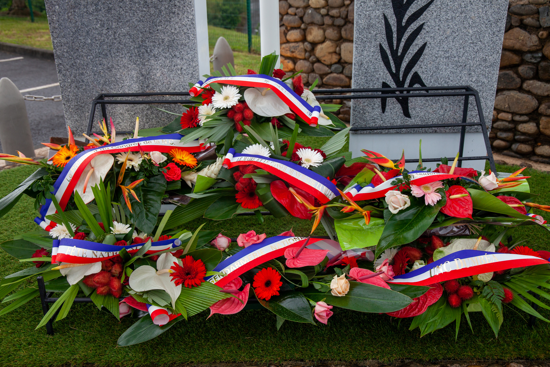 1658128378-113.jpg