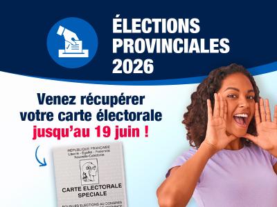 Remise des cartes électorales pour les élections provinciales