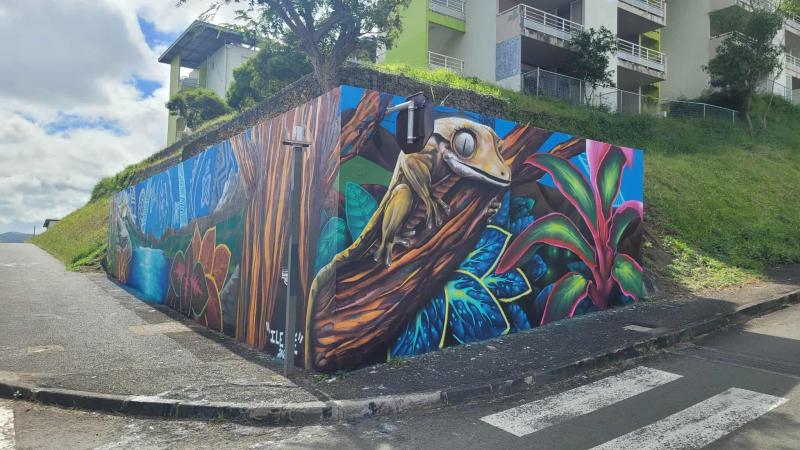 Fresque Miri résidence île Dié
